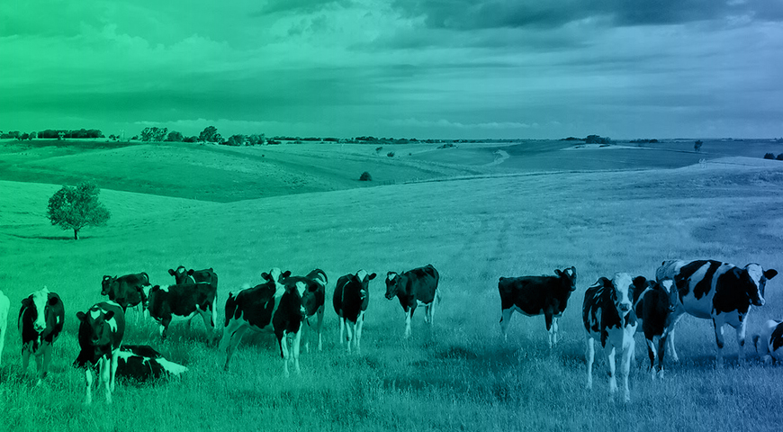 agropecuario-ee.jpg